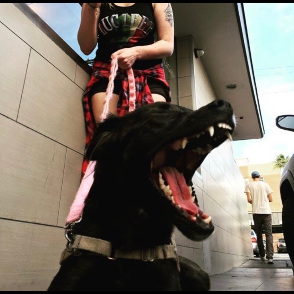 Meet your Posher, Ron